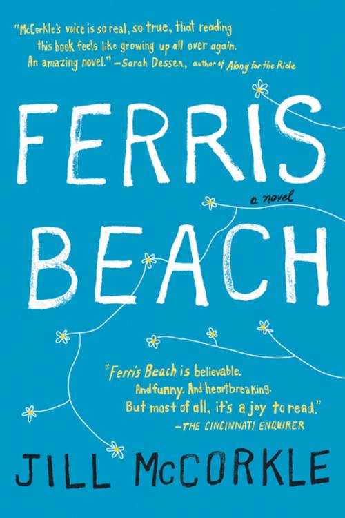 Cover of the book Ferris Beach by Jill McCorkle, Algonquin Books