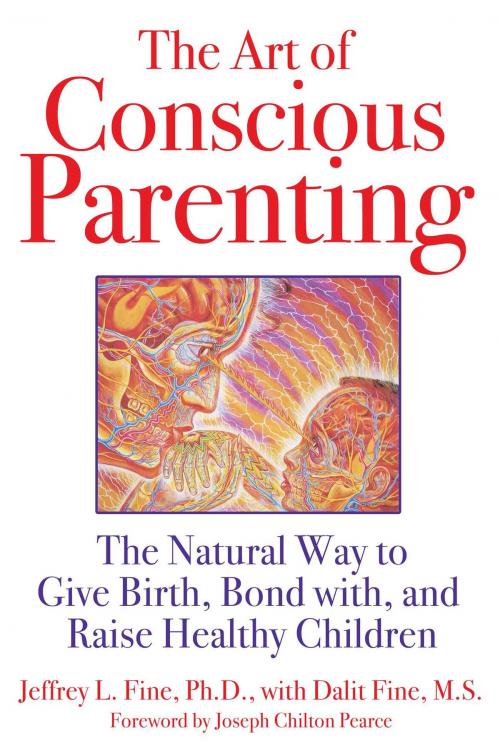 Cover of the book The Art of Conscious Parenting by Jeffrey L. Fine, Ph.D., Inner Traditions/Bear & Company