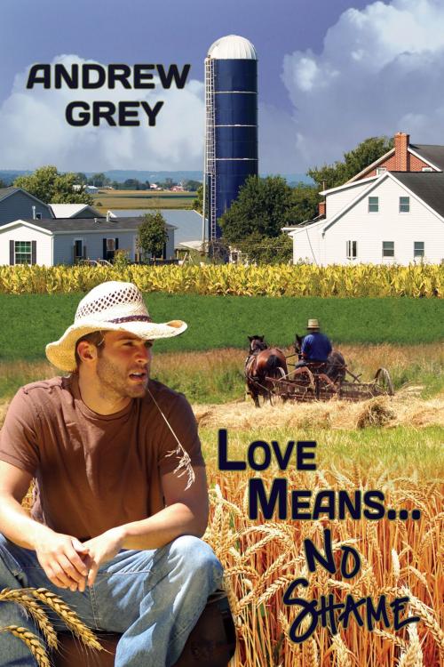 Cover of the book Love Means... No Shame by Andrew Grey, Dreamspinner Press