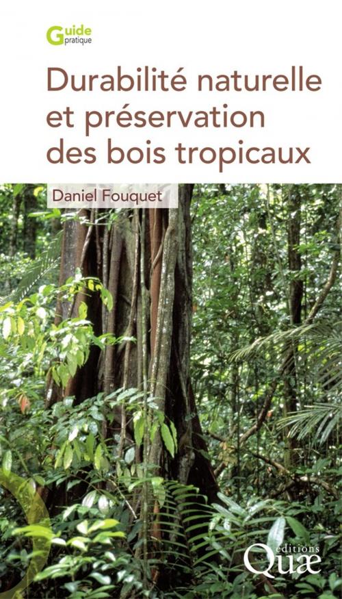 Cover of the book Durabilité naturelle et préservation des bois tropicaux by Daniel Fouquet, Quae