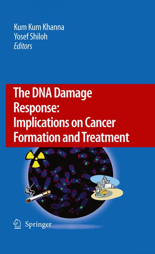 Cover of the book The DNA Damage Response: Implications on Cancer Formation and Treatment by , Springer Netherlands