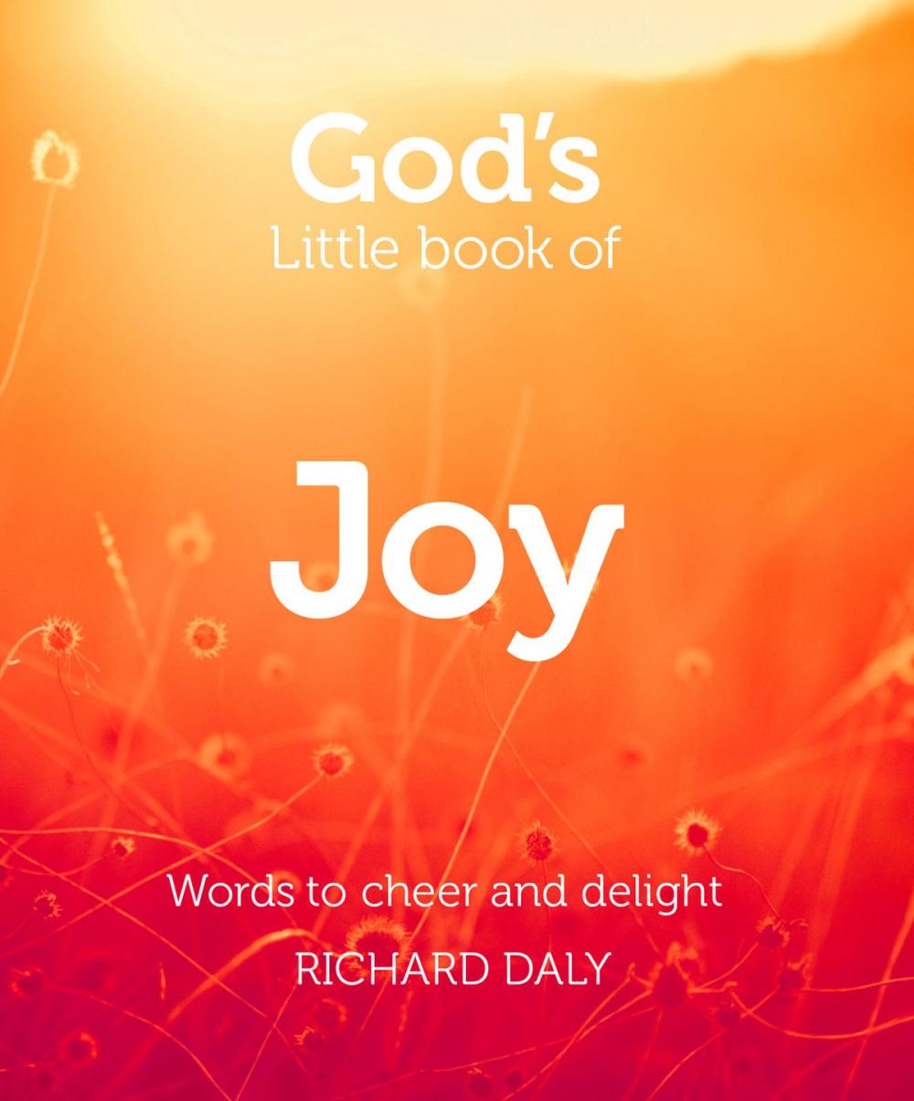 Big bigCover of God’s Little Book of Joy