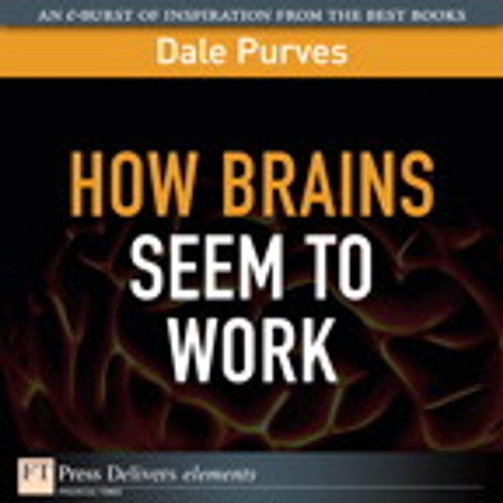 Big bigCover of How Brains Seem to Work