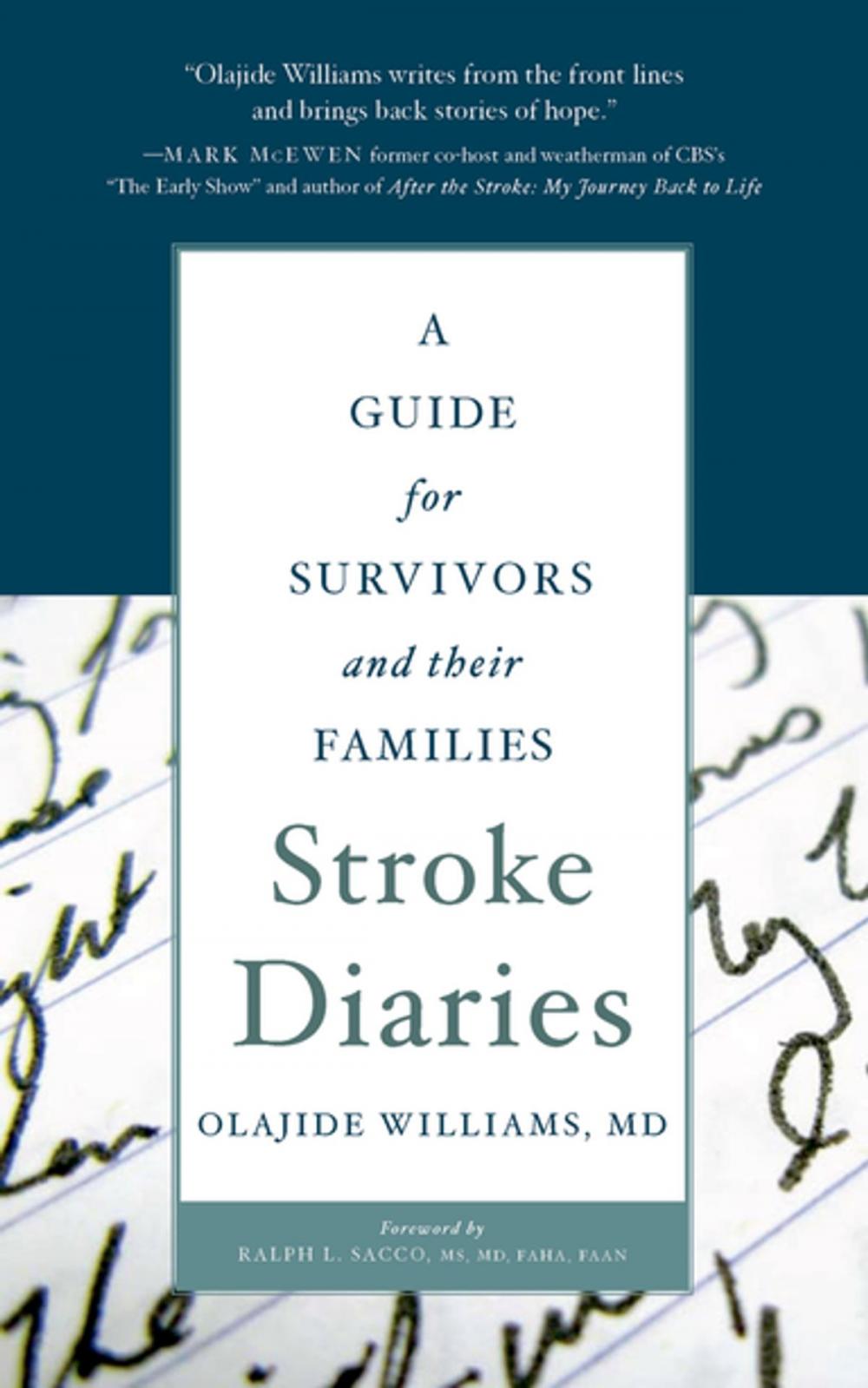 Big bigCover of Stroke Diaries