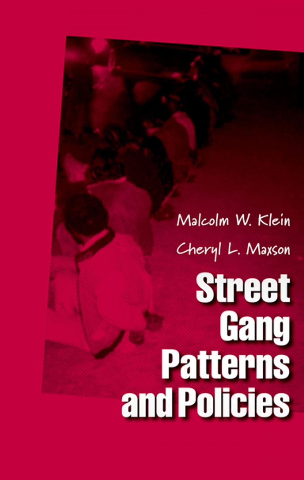 Big bigCover of Street Gang Patterns and Policies