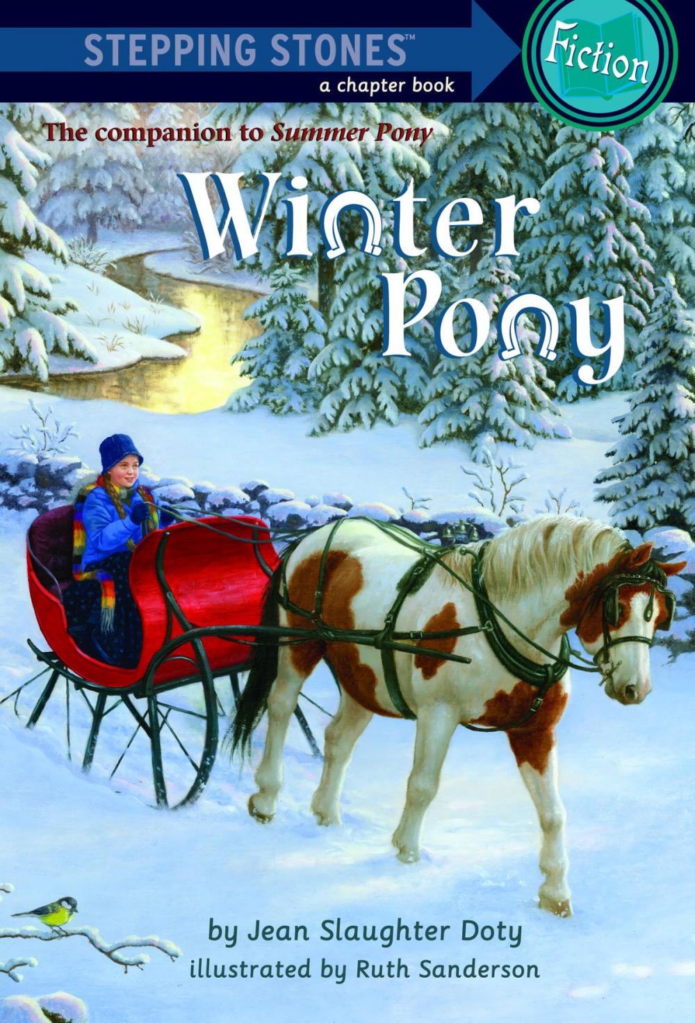 Big bigCover of Winter Pony