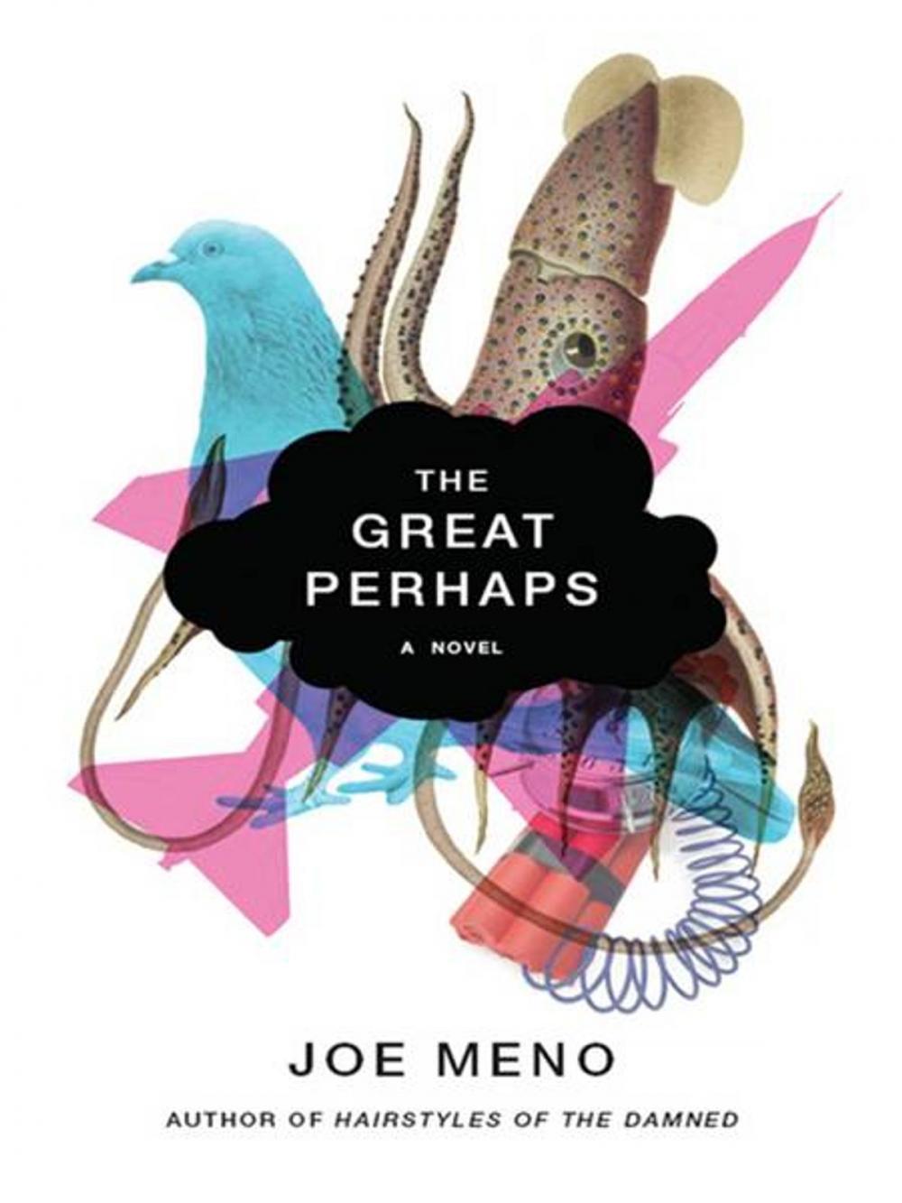 Big bigCover of The Great Perhaps: A Novel