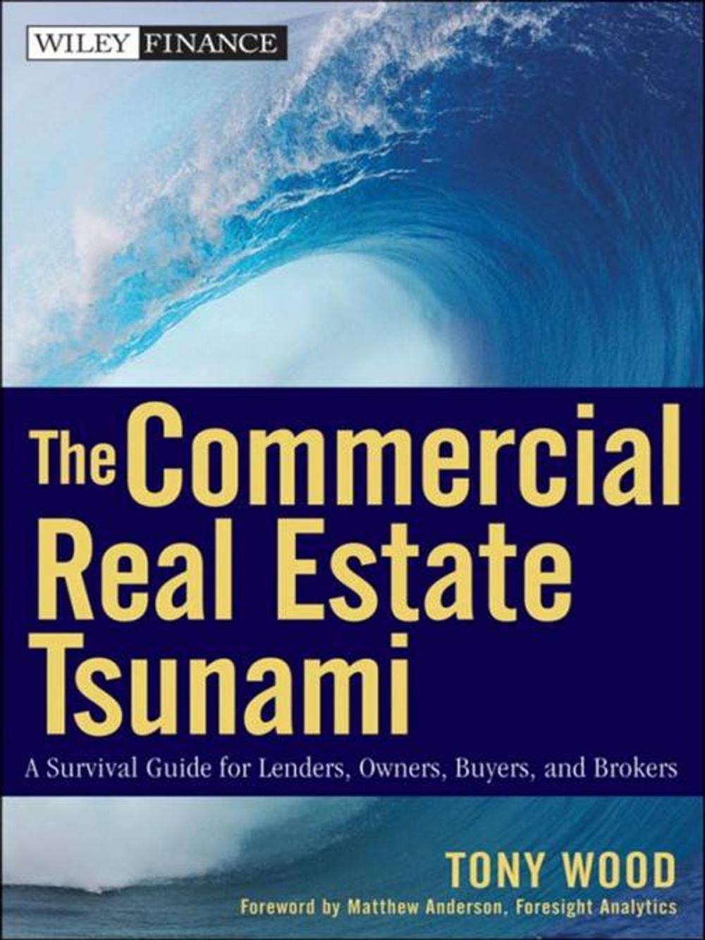 Big bigCover of The Commercial Real Estate Tsunami