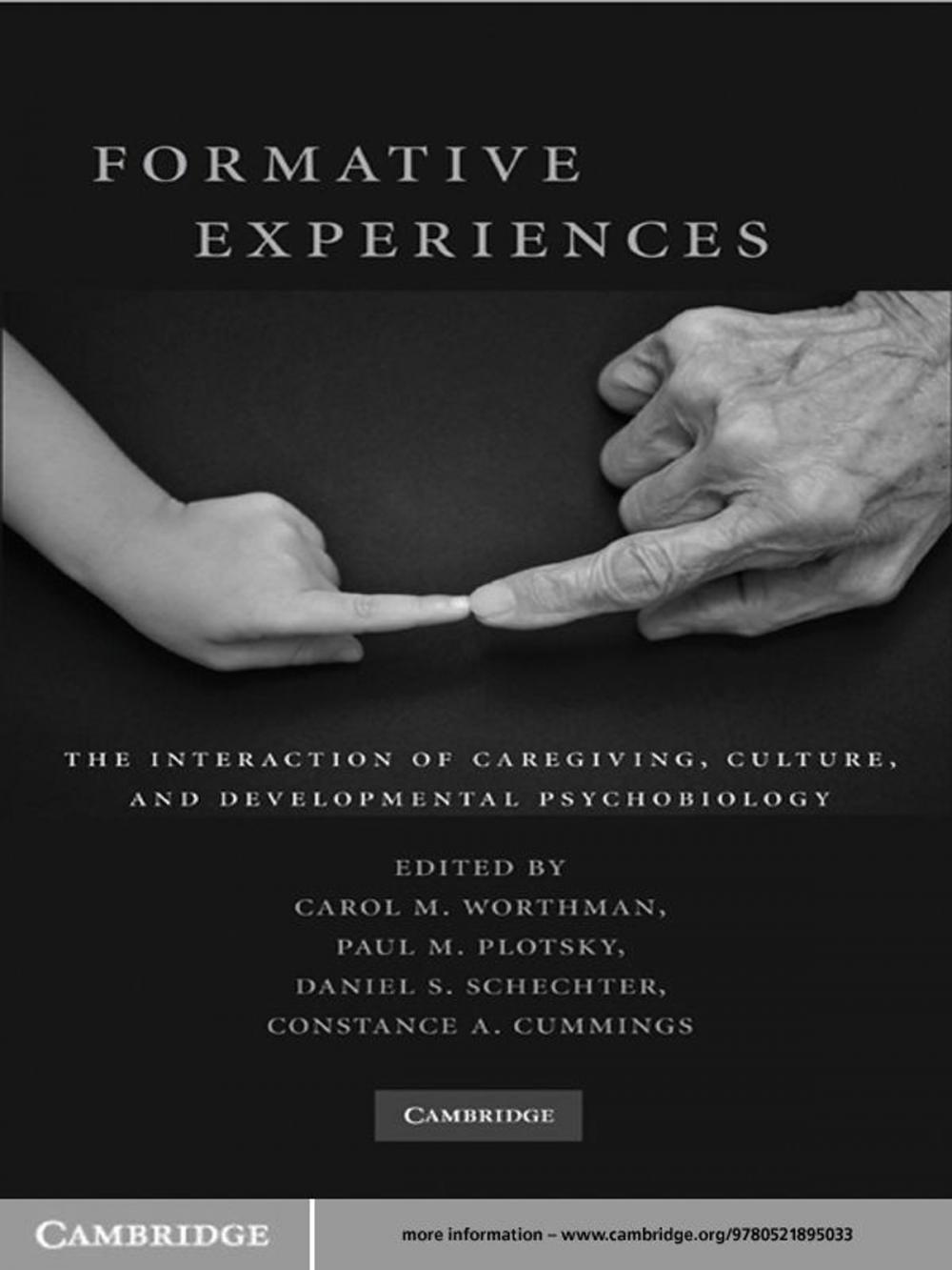 Big bigCover of Formative Experiences