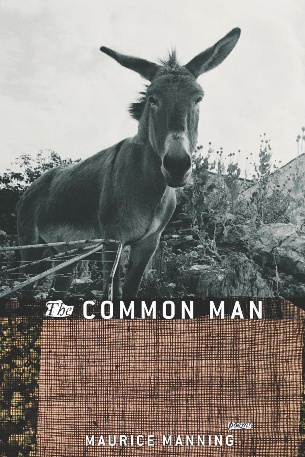 Big bigCover of The Common Man