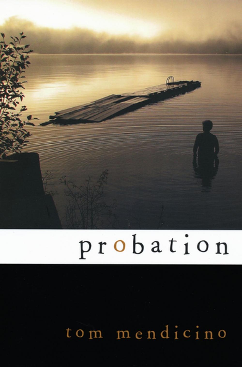 Big bigCover of Probation