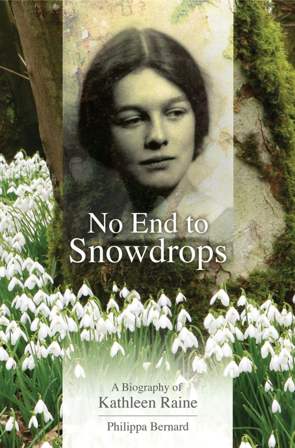 Big bigCover of No End to Snowdrops