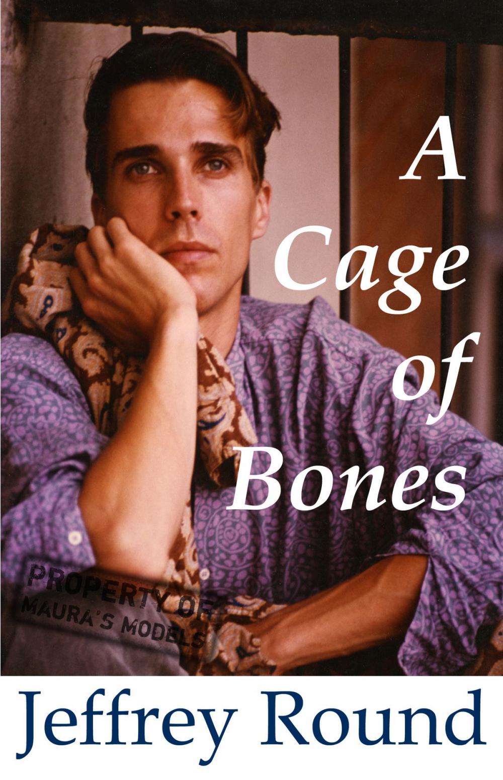 Big bigCover of A Cage of Bones