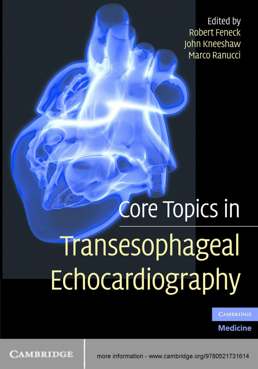 Big bigCover of Core Topics in Transesophageal Echocardiography