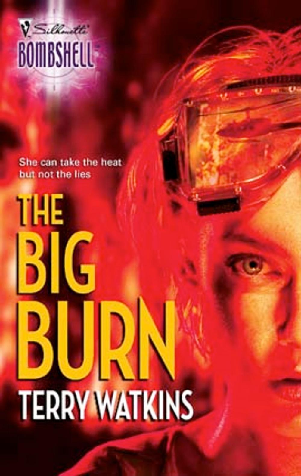 Big bigCover of The Big Burn