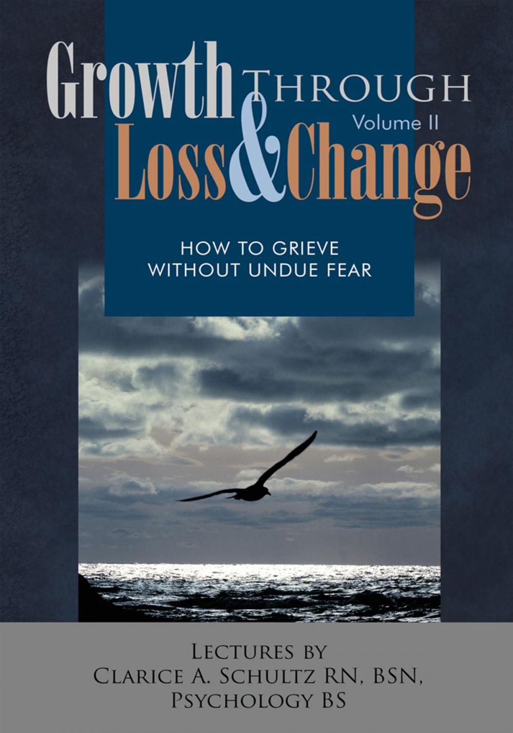 Big bigCover of Growth Through Loss & Change, Volume Ii