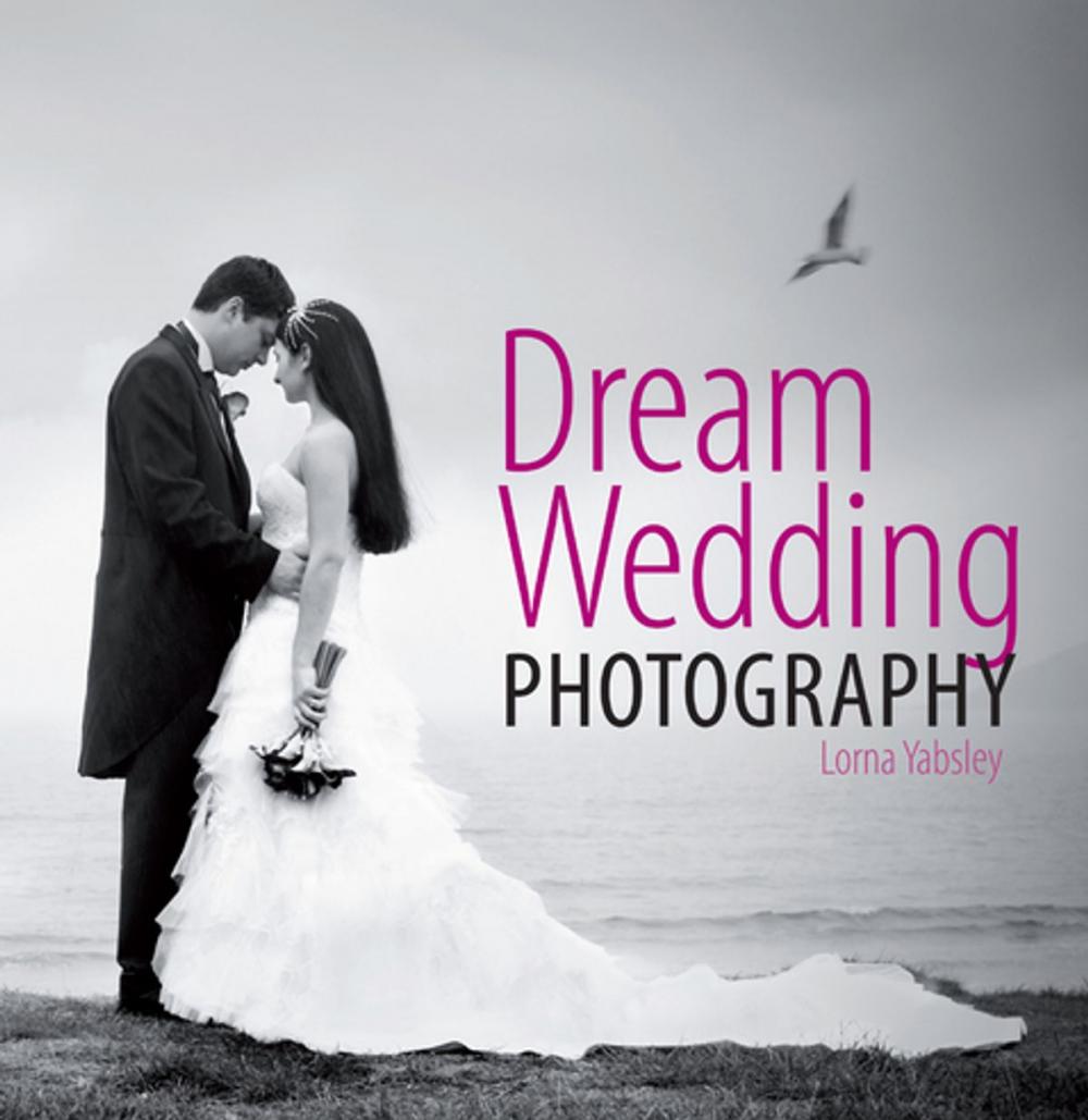 Big bigCover of Dream Wedding Photography