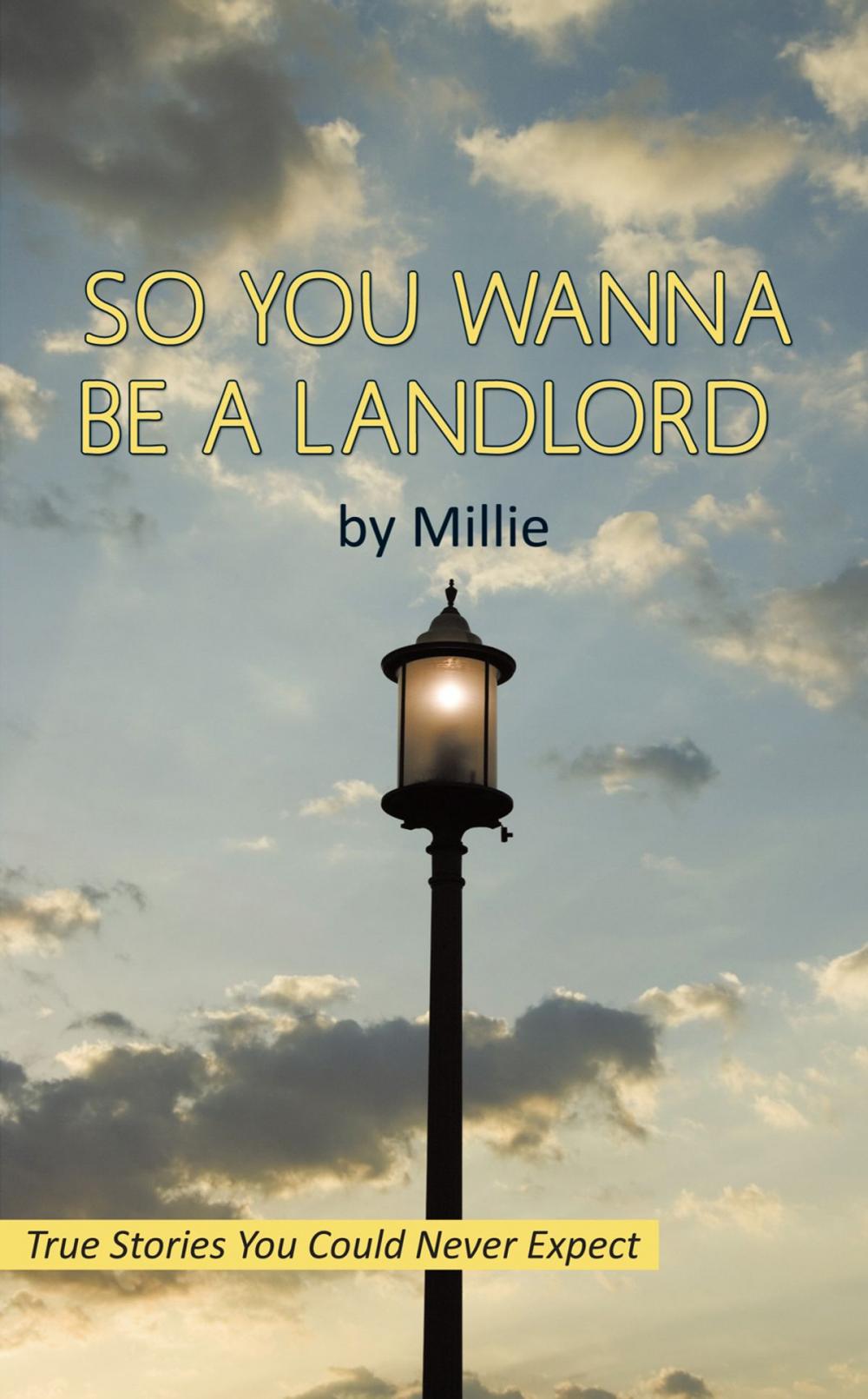 Big bigCover of So You Wanna Be a Landlord