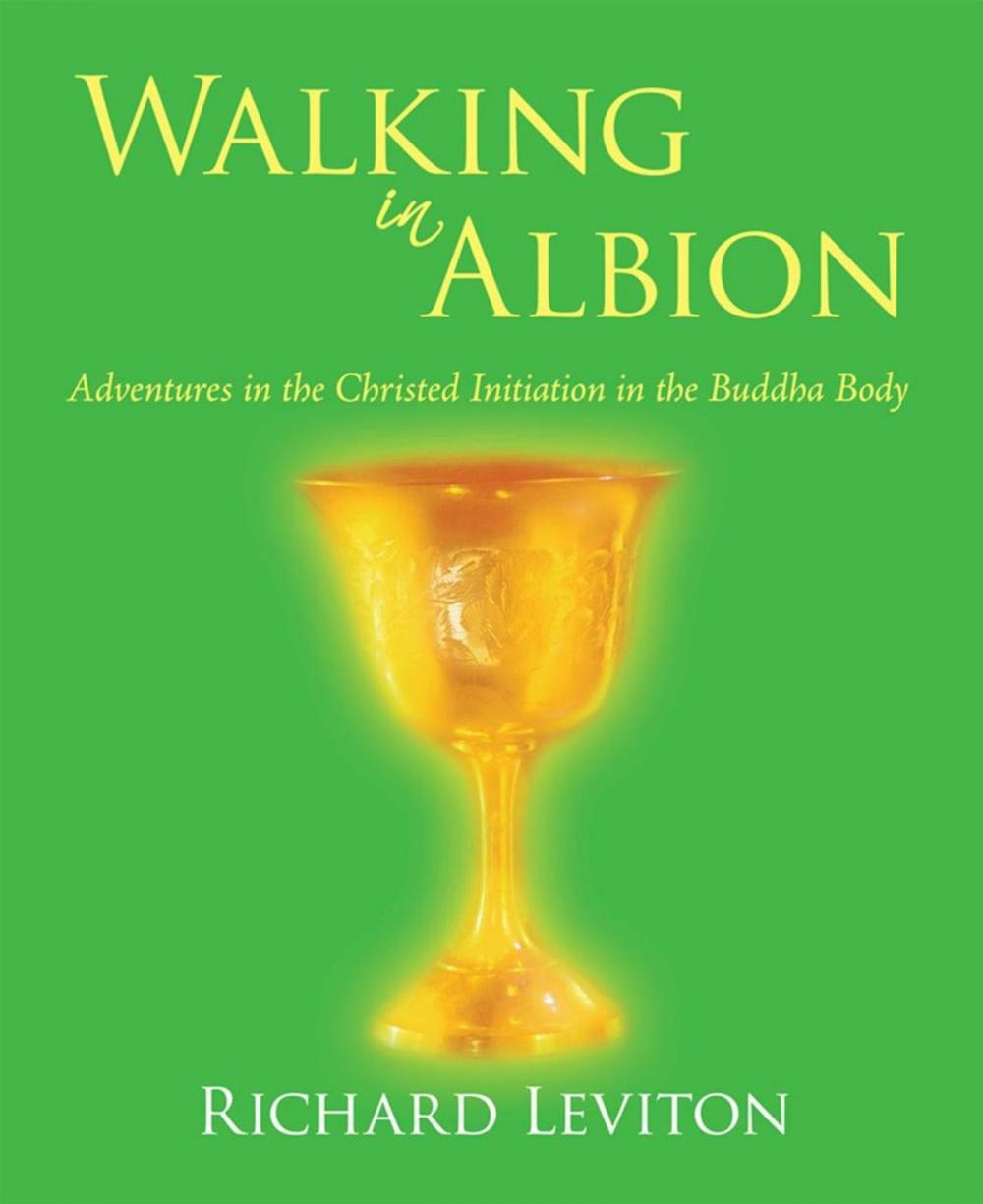 Big bigCover of Walking in Albion