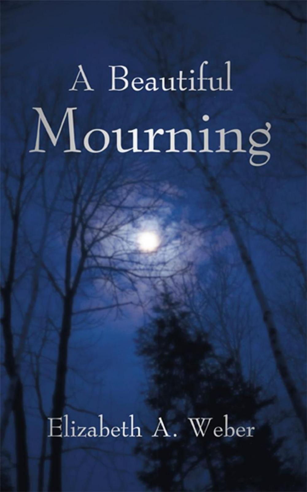 Big bigCover of A Beautiful Mourning