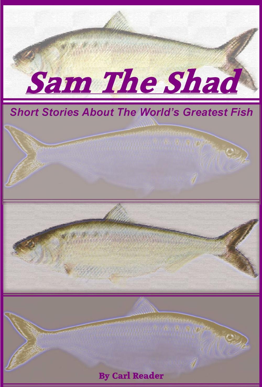 Big bigCover of Sam the Shad