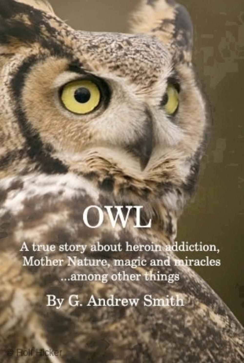Big bigCover of OWL A True Story About Heroin Addiction, Mother Nature, Magic and Miracles . . . Among Other Things