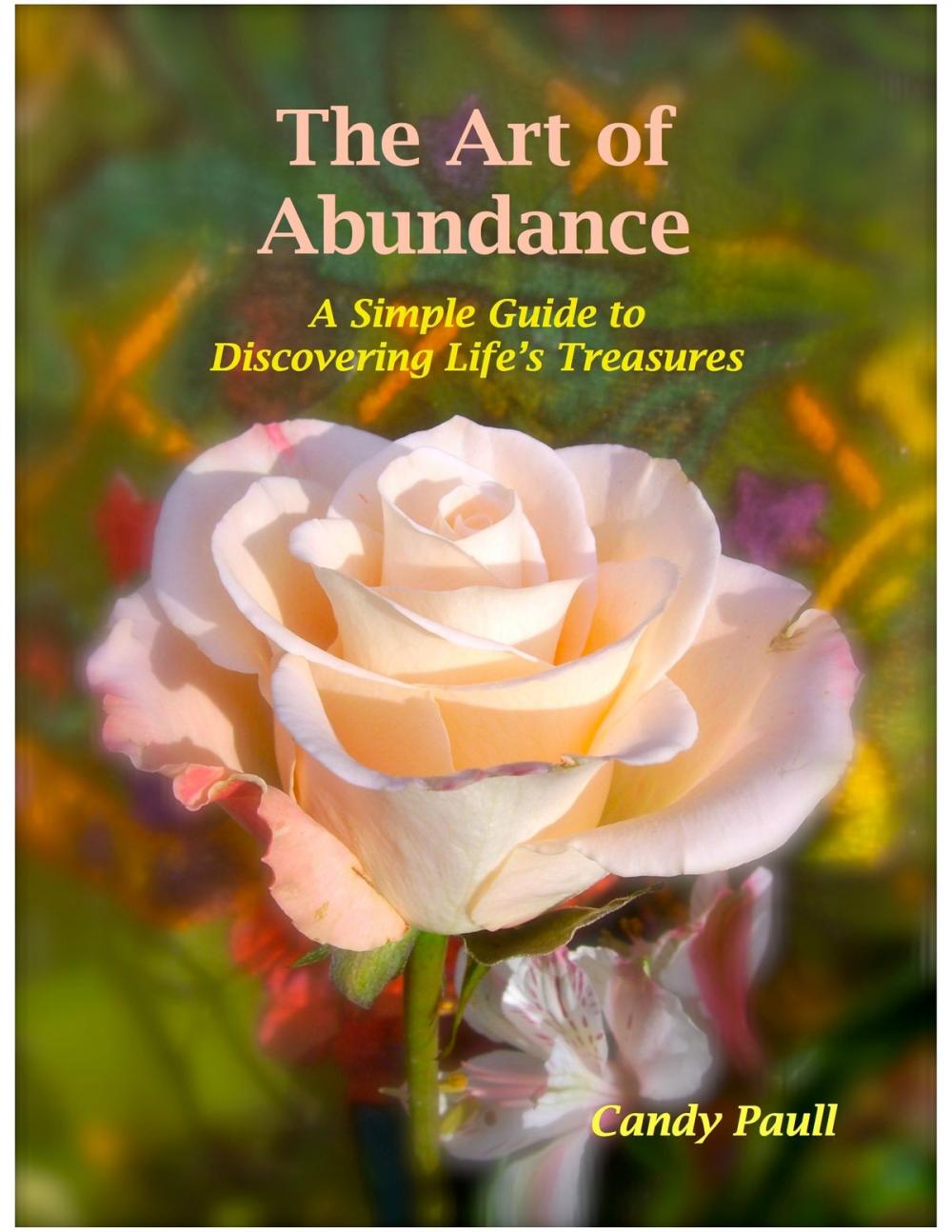 Big bigCover of The Art of Abundance: A Simple Guide to Discovering Life's Treasures