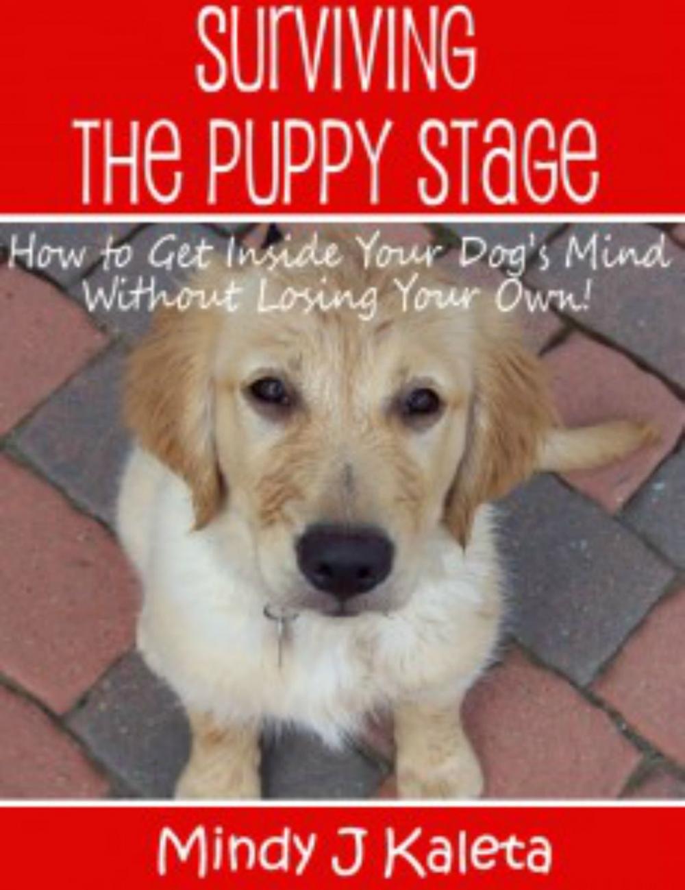 Big bigCover of Surviving the Puppy Stage, How to Get Inside Your Dog's Mind Without Losing Your Own!