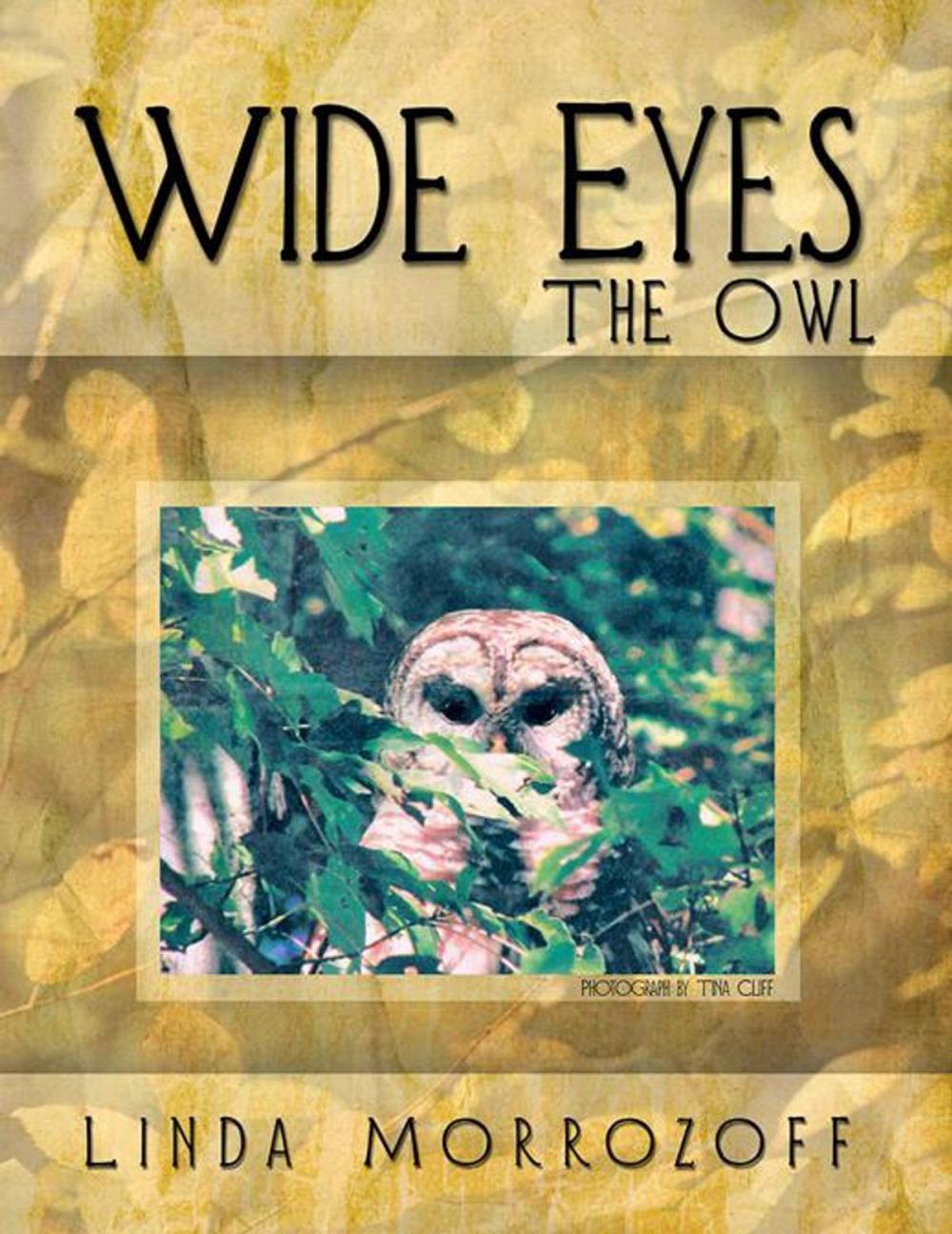 Big bigCover of Wide Eyes the Owl