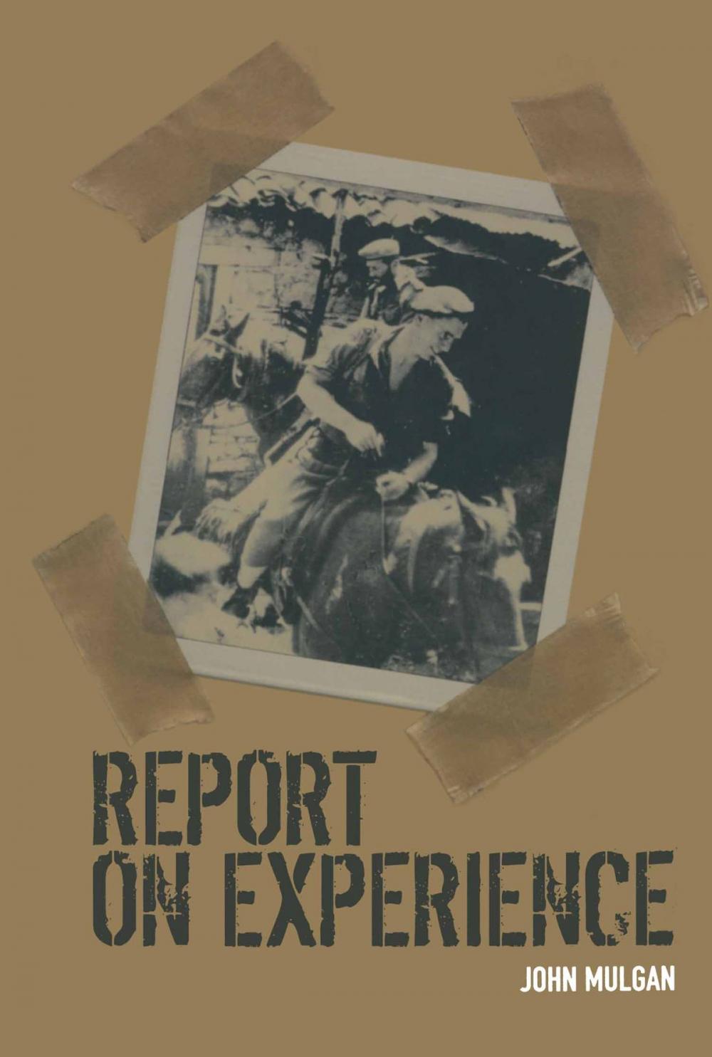 Big bigCover of Report on Experience