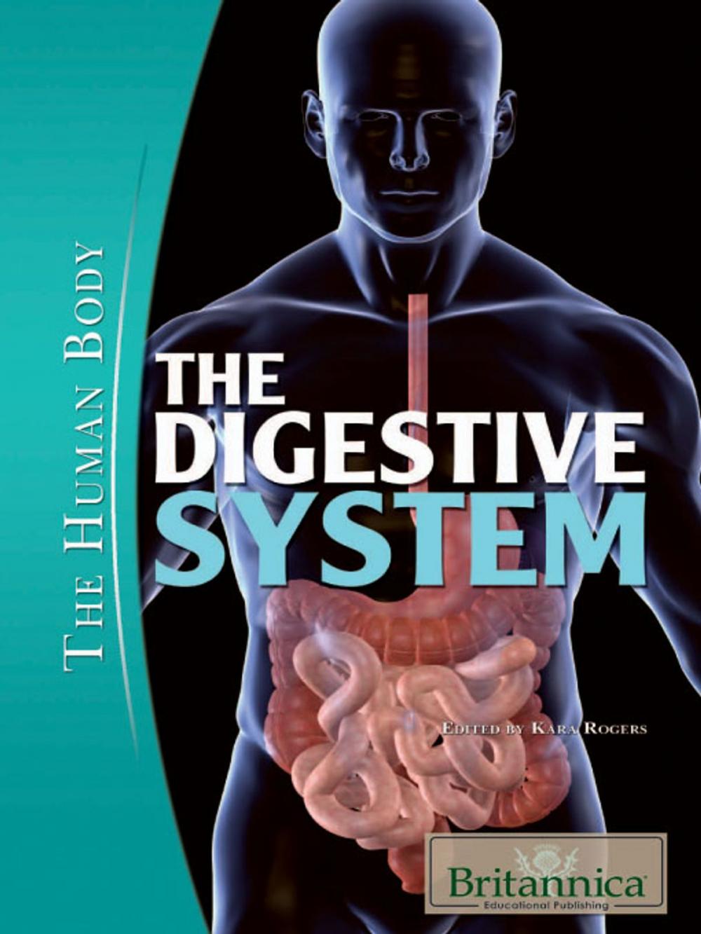 Big bigCover of The Digestive System