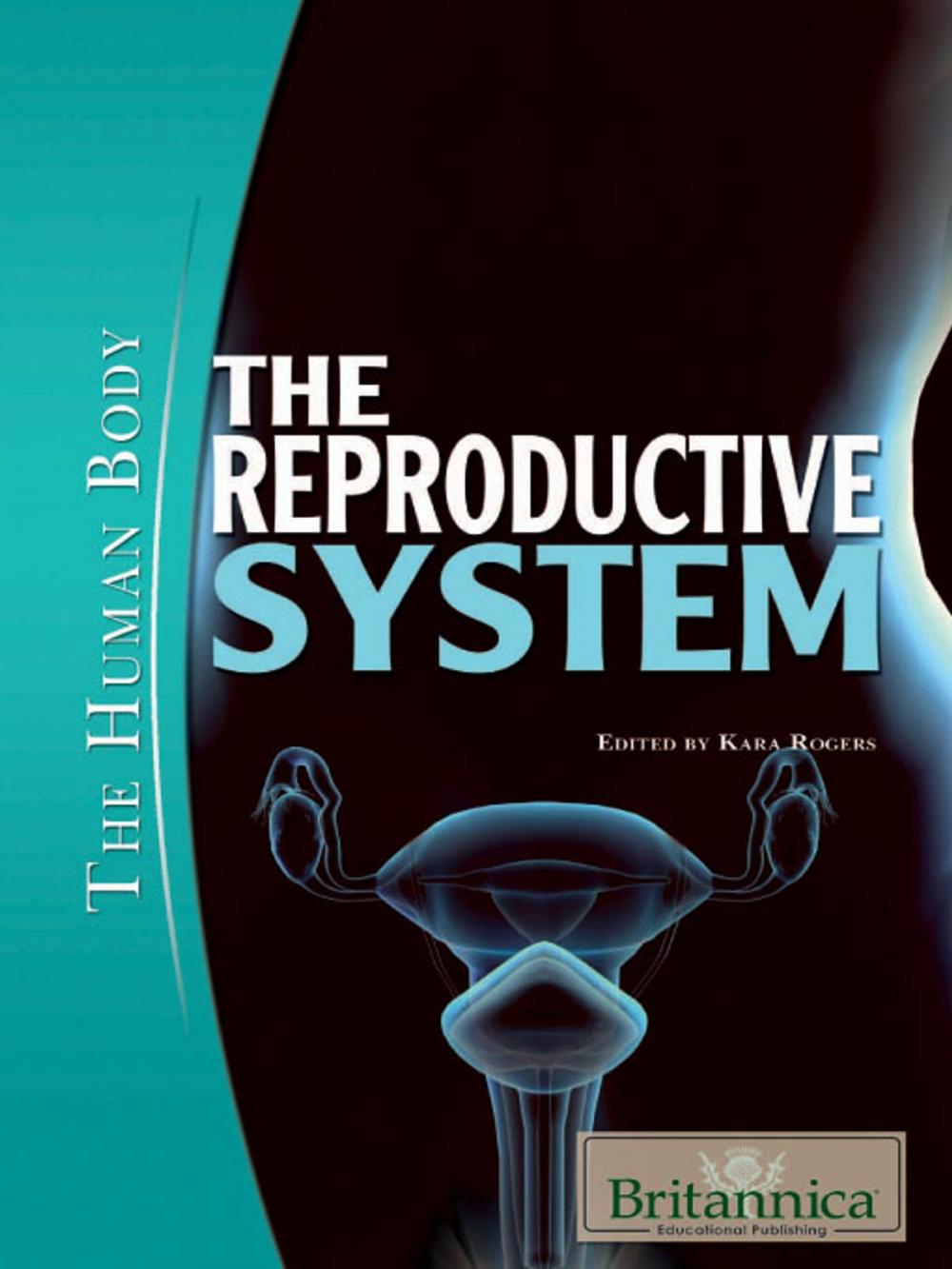 Big bigCover of The Reproductive System