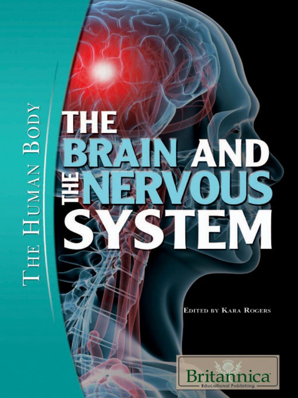 Big bigCover of The Brain and the Nervous System