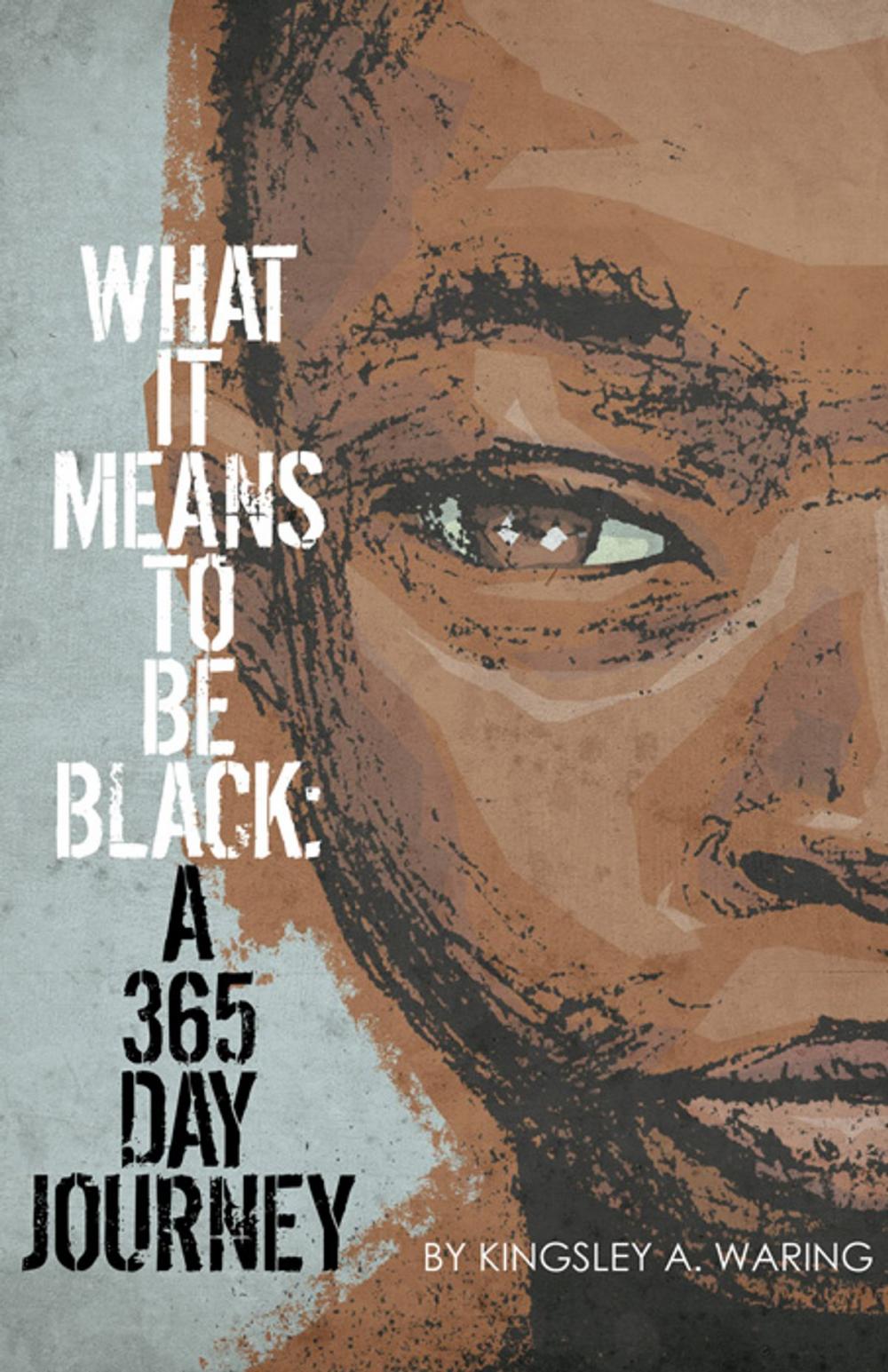 Big bigCover of What It Means To Be Black: A 365 Day Journey