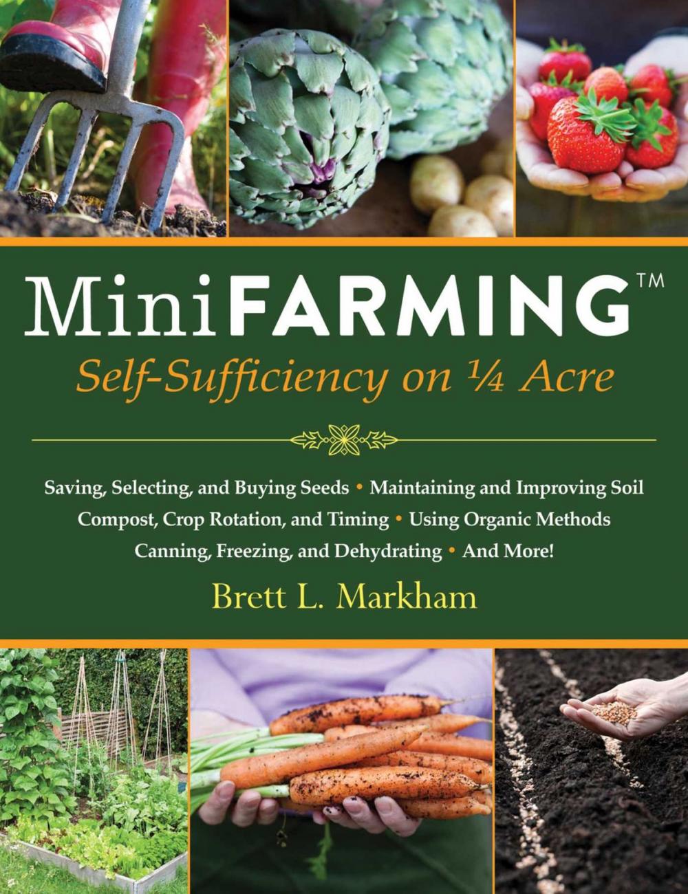 Big bigCover of Mini Farming