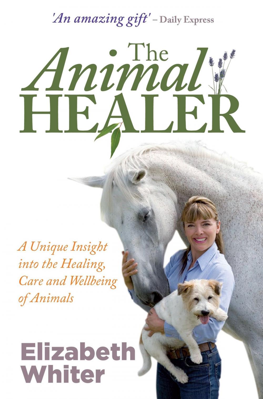 Big bigCover of The Animal Healer