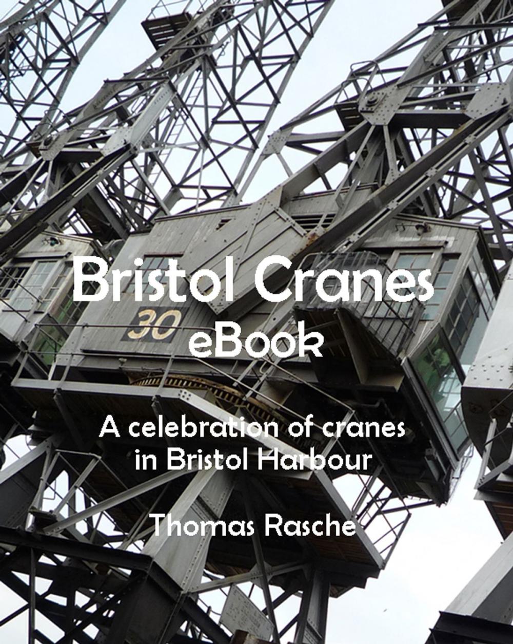 Big bigCover of Bristol Cranes