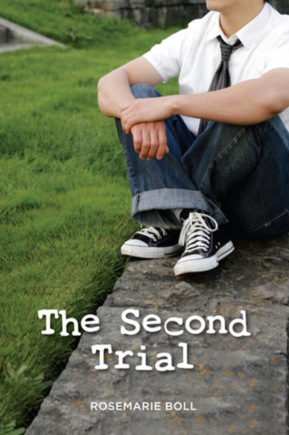 Big bigCover of Second Trial, The