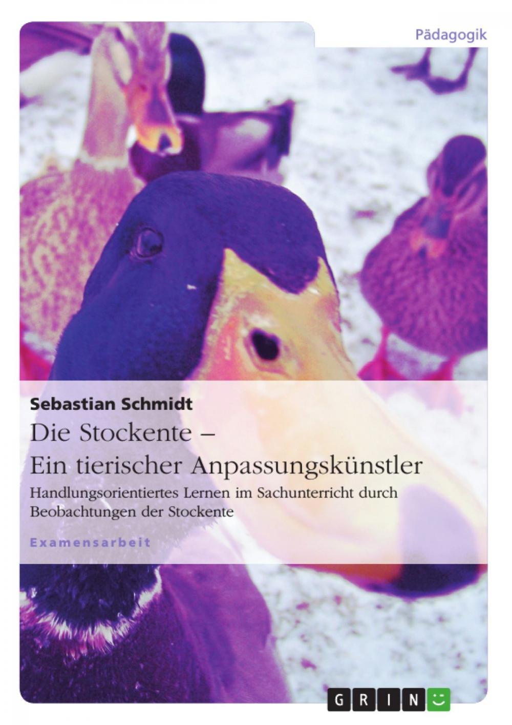 Big bigCover of Die Stockente - ein tierischer Anpassungskünstler