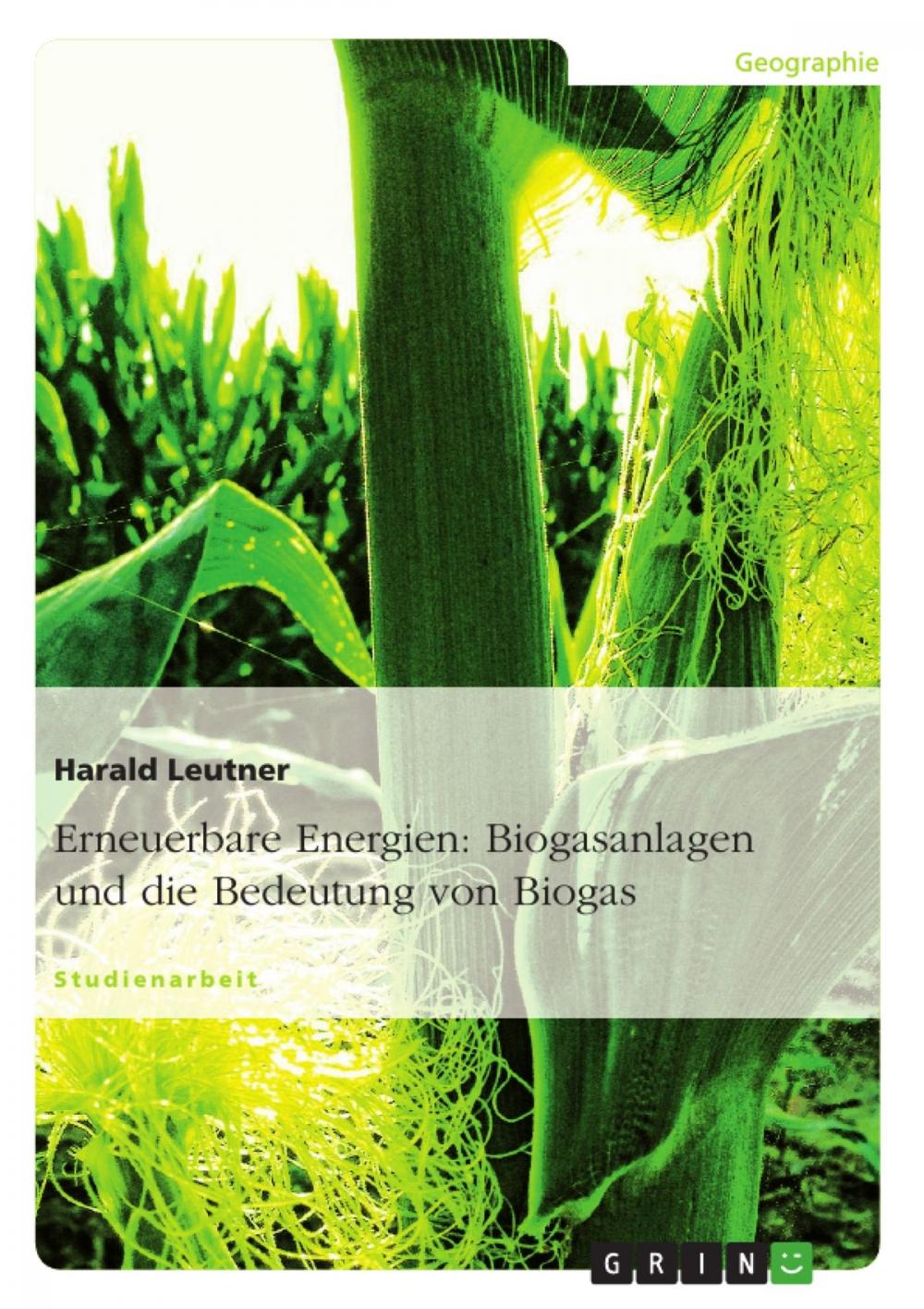 Big bigCover of Erneuerbare Energien: Biogasanlagen und die Bedeutung von Biogas