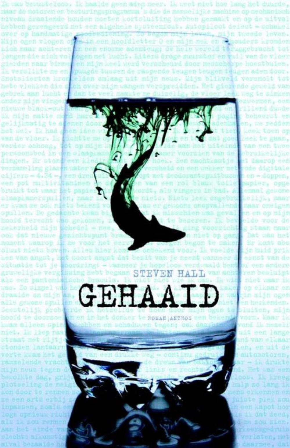 Big bigCover of Gehaaid