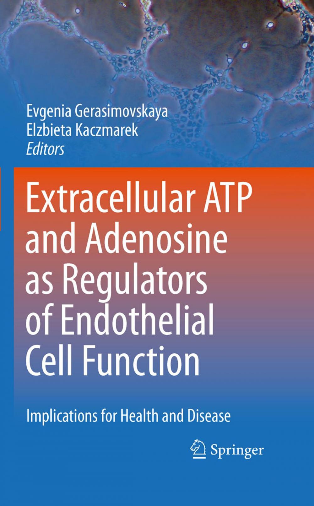 Big bigCover of Extracellular ATP and adenosine as regulators of endothelial cell function