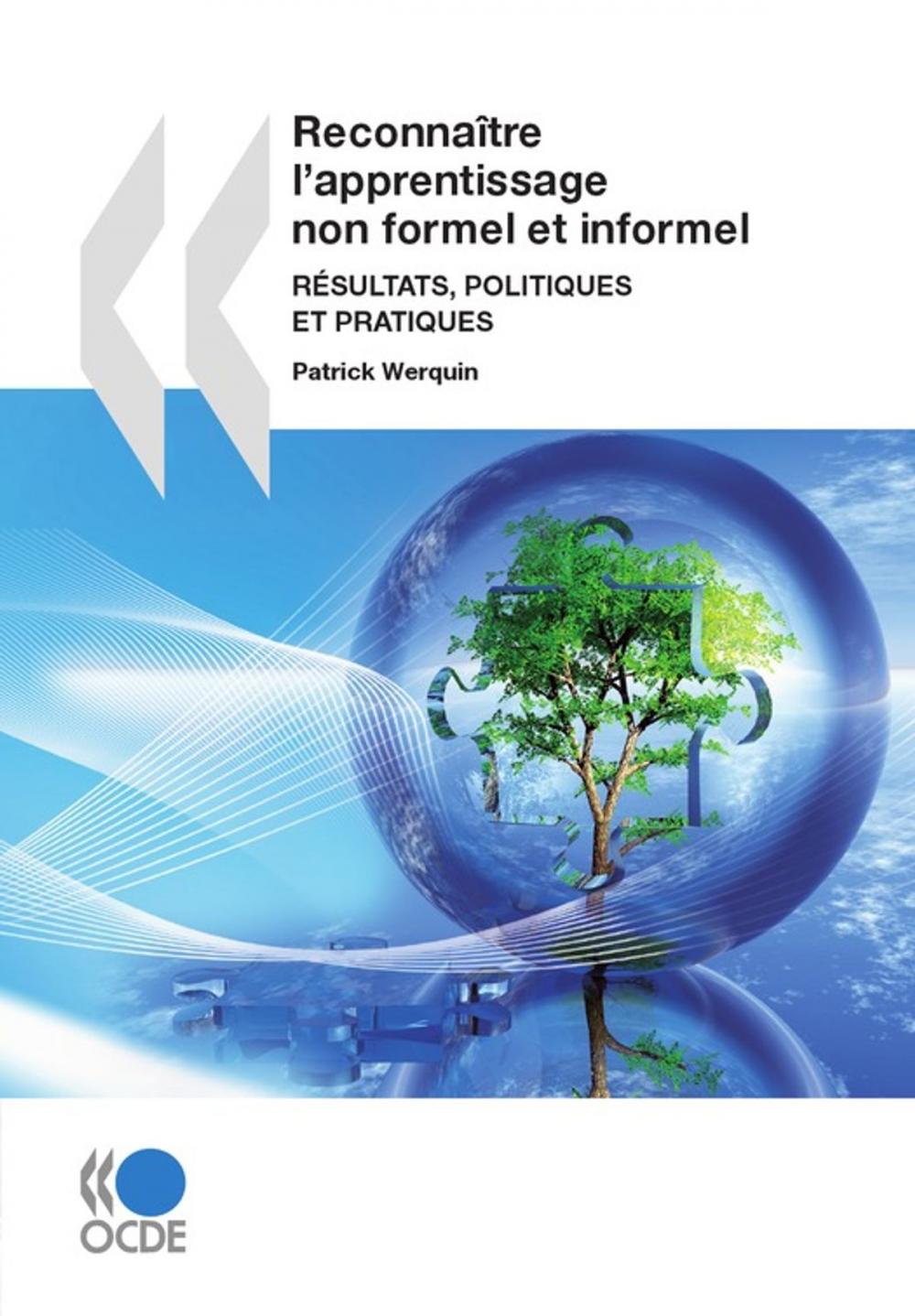 Big bigCover of Reconnaître l'apprentissage non formel et informel