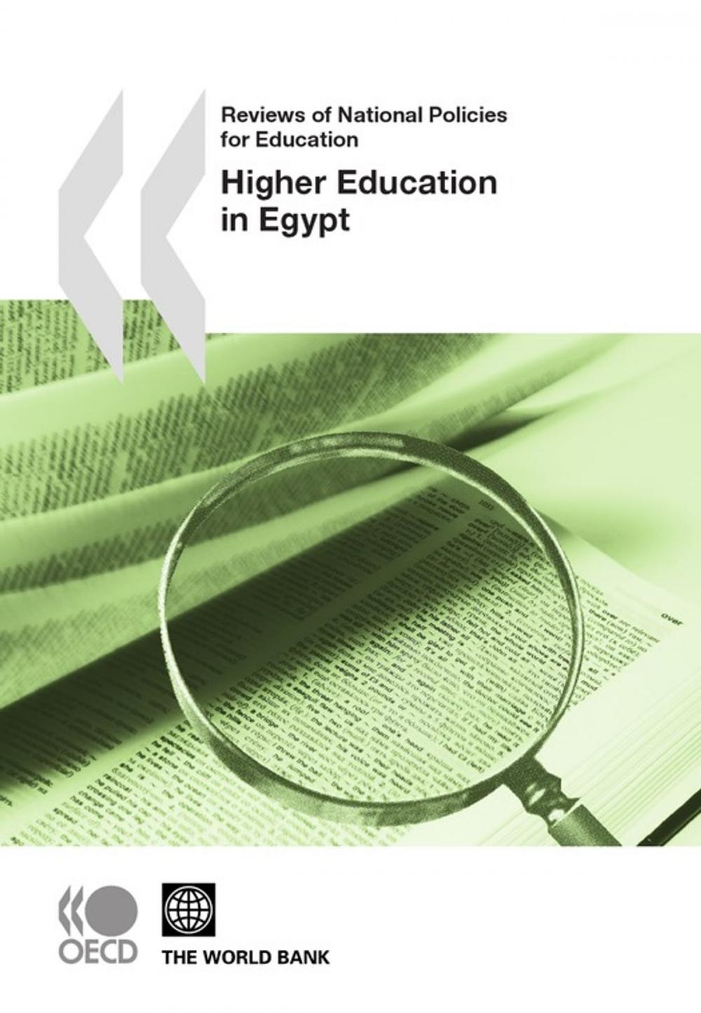 Big bigCover of Reviews of National Policies for Education: Higher Education in Egypt 2010