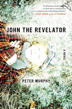 Cover of the book John the Revelator by Betty Crocker