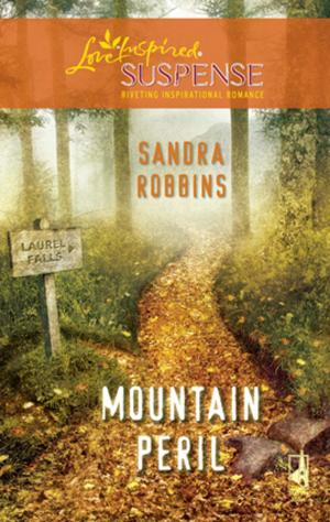 Cover of the book Mountain Peril by Dana Corbit