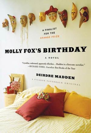 Book cover of Molly Fox's Birthday