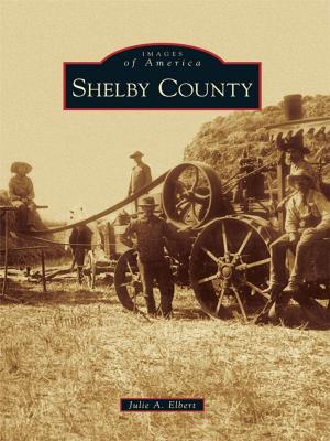 Cover of the book Shelby County by Elisur Arteaga Nava
