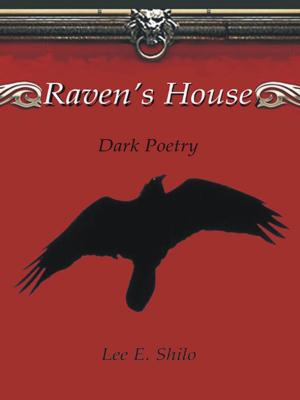 Cover of the book Raven's House by Pete Johnson
