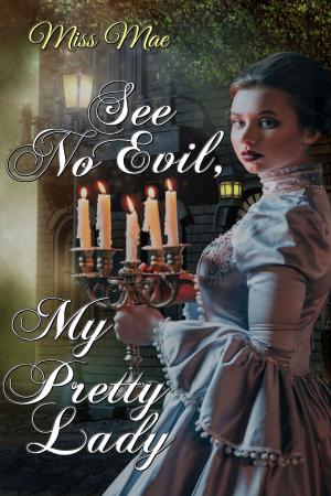 Cover of the book See No Evil, My Pretty Lady by Cole Strider